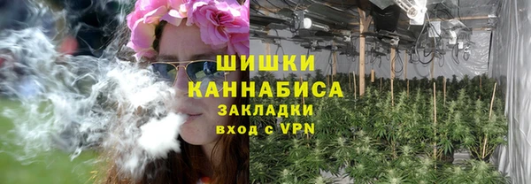 твердый Богородск