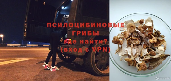 твердый Богородск